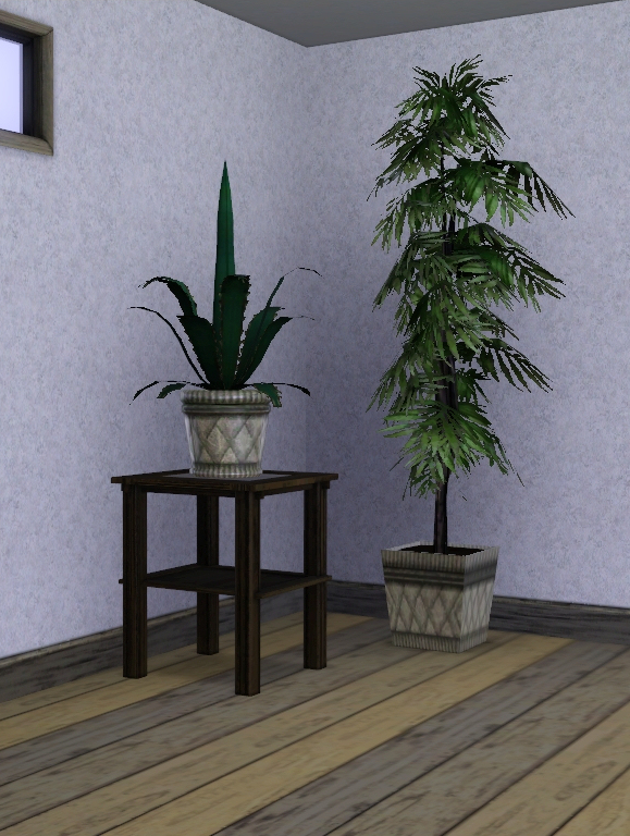 New plant set