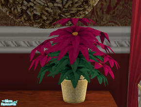 Sims 2 — Christmas Dining Room Poinsettias by lisa9999 — Deep royal mauve colored blooms.