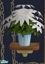 Sims 2 — Bule Christmas Bedroom White Poinsettia by lisa9999 — A white poinsettia in a ice blue container.