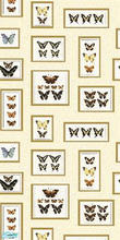 Sims 2 — Butterfly Wall 2 by katalina — Beautiful butterfly wall plagues. Enjoy!