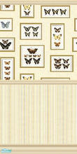 Sims 2 — Butterfly Wall by katalina — Beautiful butterfly wall plagues. Enjoy!