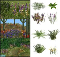 Sims 2 — Wildflowers by sim_man123 — New plant set, contains 8 meshes and 27 various recolors. Recolors come in regular