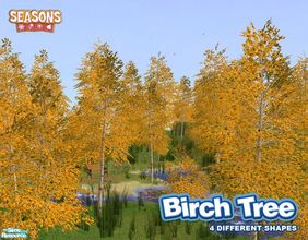 Sims 2 — Birch Tree SEASONS by Murano — 4 different birch trees compatible with SEASONS. For BASE GAME compatible trees,
