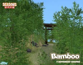 Sims 2 — Bamboo SEASONS by Murano — 7 different bamboo compatible with SEASONS. For BASE GAME compatible trees, please