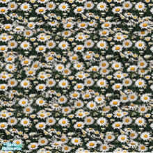 Sims 2 — Spring Garden Collection-daisy  by katalina — Enjoy your spring garden with these showy flower terrain paints.