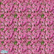 Sims 2 — Spring Garden Collection-red phlox  by katalina — Enjoy your spring garden with these showy flower terrain