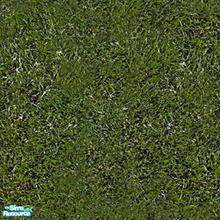 Sims 2 — Ground to walk on - Hairy Grass by katelys — \'Hairy\' grass. Add a realistic look into your gardens!