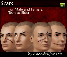 Sims 3 —  Scars by AnoeskaB — Face scars for male and female, from teen to elder. All scars have 3 recolorable layers and