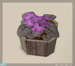 Sims 2 — 4 Plants - Katelys Mesh Viola by katelys — african violet mesh
