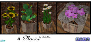 Sims 2 — 4 Plants by katelys — 4 new plant meshes