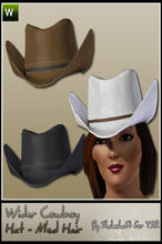 Sims 3 — ASC_AFWideCBoyHatMed by Shakeshaft — Part of the Home on the Range set this Edited Mesh Wider Brim Cowboy Hat