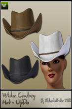 Sims 3 — ASC_AFWiderCBoyHat_Updo by Shakeshaft — Part of the Home on the Range set this Edited Mesh Wider Brim Cowboy Hat
