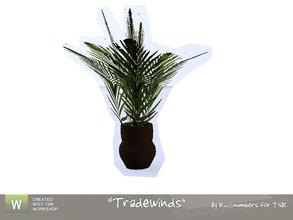 Sims 3 — Tradewinds Plant by TheNumbersWoman — A nice plant from cuttings from the neighborhood garden. So very cheap. By
