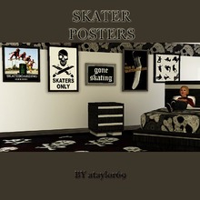 Sims 3 — Skater Posters by ataylor69 — Here are some posters for those skateboarding sims in your families! Perfect for a