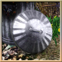 Sims 3 — Dustbin Lid (leaning) by Cyclonesue — It probably took more effort to lean this lid against a wall than put it