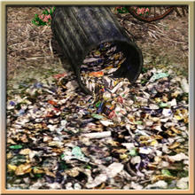 Sims 3 — Trampled Litter (terrain paint) by Cyclonesue — Horrible ground! Litter compacted and trampled into the ground.