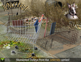 Sims 3 — Abandoned Supermarket Trolleys by Cyclonesue — Three shopping trolleys (standing, fallen and inverted) for