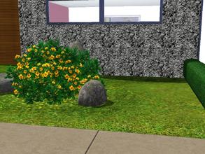 Sims 3 — Natur Feeling by matomibotaki — soft carpet or rough stucco pattern