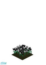 Sims 1 — Black color changed gothic tulips. by MasterCrimson_19 — Black tulips for your garden! These tulips flower