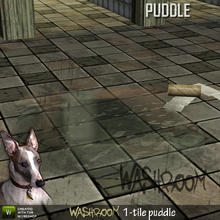 Sims 3 — Puddle (1 tile) by Cyclonesue — An uncleanable puddle! Now how about that?! At least Sims can walk through it!