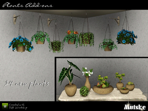 Sims 3 — Plant Add-ons Part III by Mutske — Set of 14 new plants. Some wall and ceiling plants and some new plants in