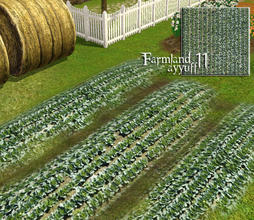 Sims 3 — Farmland 11 by ayyuff — 