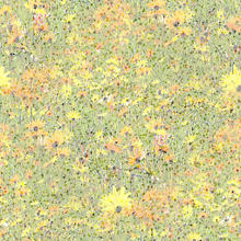 Sims 3 — Flowerfields colored by matomibotaki — Flowerfields colored by MB for TSR.