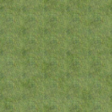 Sims 3 — Grass 257 by matomibotaki — Grass 257 by MB for TSR