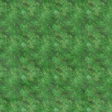 Sims 3 — Mossy Grass by matomibotaki — Mossy Grass by MB for TSR