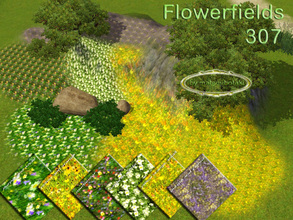 Sims 3 — Flowerfield Collection  307 by matomibotaki — Flowerfield Collection 307, 6 different flowerfields , 4 shades