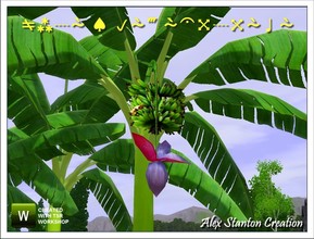 Sims 3 — Musa x paradisiaca Set by alex_stanton1983 — This Banana tree give delicious bananas. It is an heavy plant who