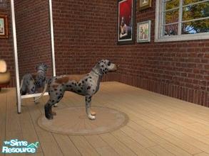 Sims 2 — Painted Dog by Treebrooke — This is my upload so any feedback is welcome, I call it a painted dog because he