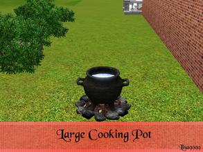 Sims 3 — Large Cooking Pot by lisa9999 — Sculpture large cooking pot with fire. EA object. Lisa9999 TSRAA