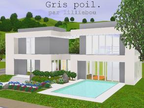 Sims 3 — Gris Poil by lilliebou — Hi! This modern house has a pool and a driveway. There are also many flowers, plants
