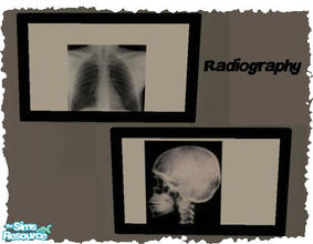 Sims 2 — Radiographies  by lurania by lurania — 2 paintings with a radiography!