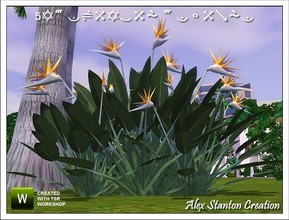 Sims 3 — Strelitzia reginae Set by alex_stanton1983 — Useless to present this Bird of Paradise. Her extraordinary flower