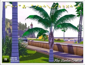Sims 3 — Syagrus romanzoffiana Set by alex_stanton1983 — The Queen palm is a big palm tree with a feathery foliage which