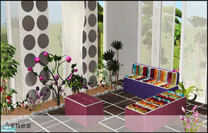 Sims 2 — Agnes by steffor — my Sim Agnes created an indoor scene with her new plants