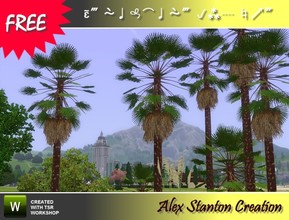Sims 3 — Trachycarpus fortunei Set by alex_stanton1983 — A new palm to celebrate the new year of 2011 which begins : the