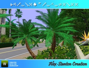 Sims 3 — Phoenix roebelinii Set by alex_stanton1983 — The dwarf date palm, small palm tree very ornamental, with brillant