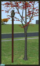 Sims 2 — One More Slot for Trees by rebecah — The OMS is found under Surfaces/Misc for $0. Invisible recolor included in