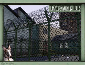 Sims 3 — Bracemoor Medium Security Jail by Cyclonesue — Don't let them get away with it. Innocent or guilty, Sims will