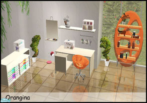 Sims 2 — Orangina by steffor — a study room