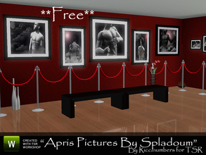 Sims 3 — ** Apris Pictures by TheNumbersWoman — Pictures by Spladoum, a little Photoshop adjustments by me ;0), are all