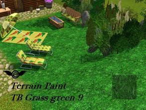 Sims 3 — Terrain Paint_ Grass green 9 by engelchen1202 — TP_ Grass green 9 get the matching Pattern for Terraces and