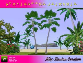 Sims 3 — Pritchardia pacifica (8m) by alex_stanton1983 — Fiji fan palm have big leaves forming big fans. His origin is