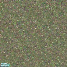 Sims 2 — Groundworks - Leafy Grass by hatshepsut — Realistic seamless ground cover
