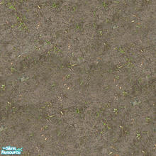 Sims 2 — Groundworks - Sparse Grass by hatshepsut — Realistic seamless ground cover