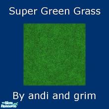 Sims 2 — Super Green Grass!!! by andi and grim — This is a very green lawn for you\'re sims who need everything perfect,