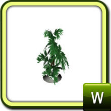 Sims 3 — tidaholmoak plant by jomsims — tidaholmoak plant by jomsims